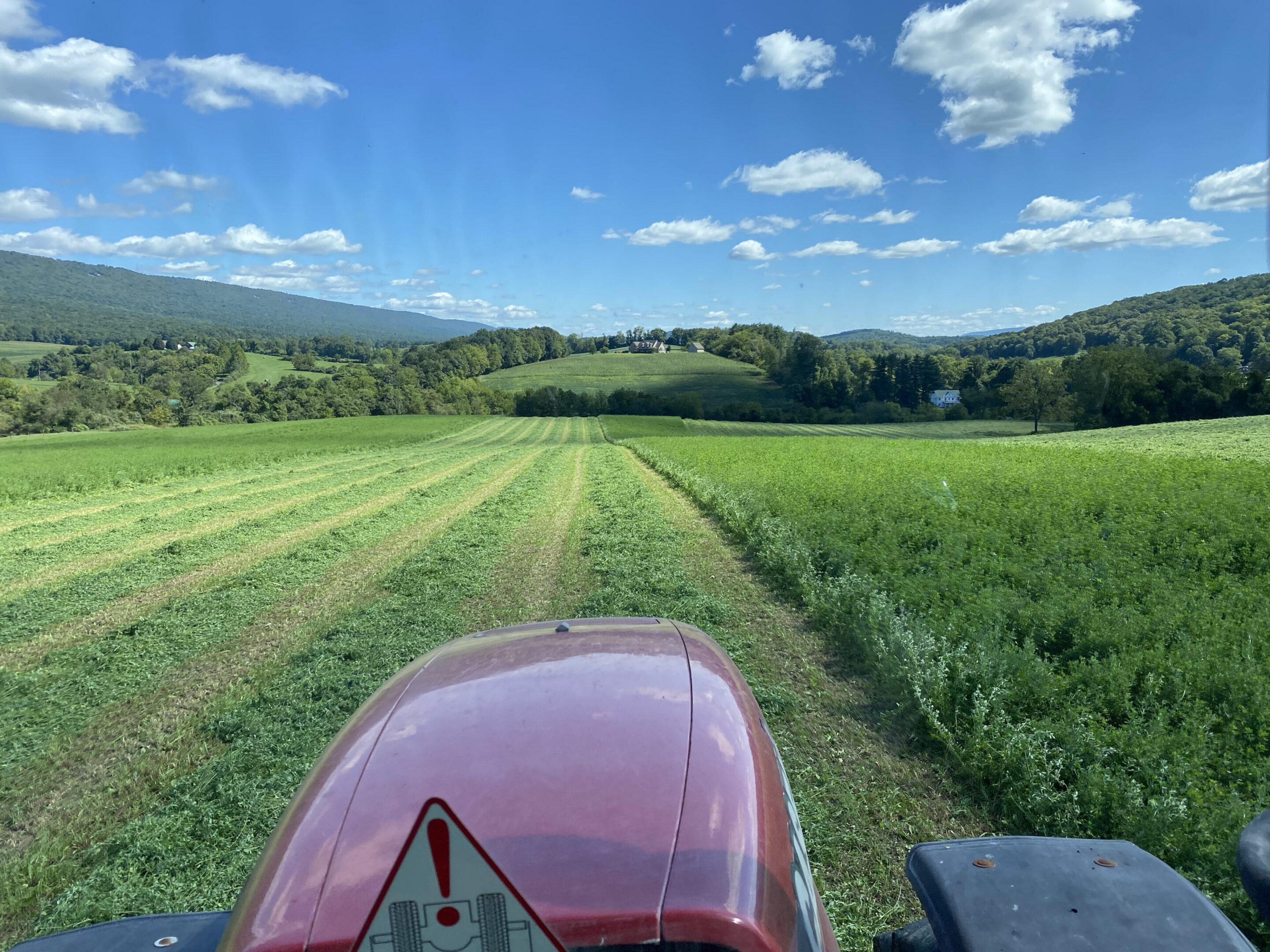 Cutting Hay