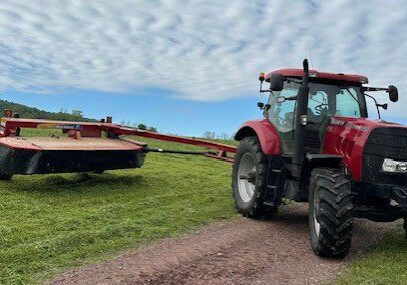 Mowing hay